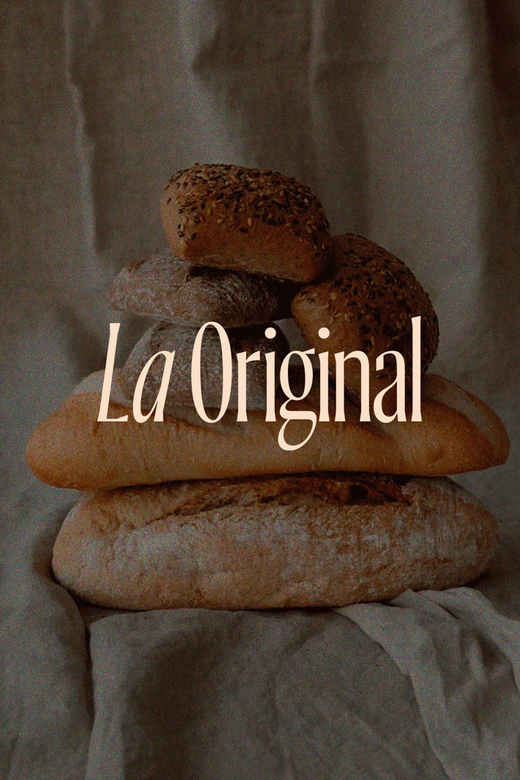 LOOCAL_PAGINAWEB_PROJECTE_LAORIGINAL_03