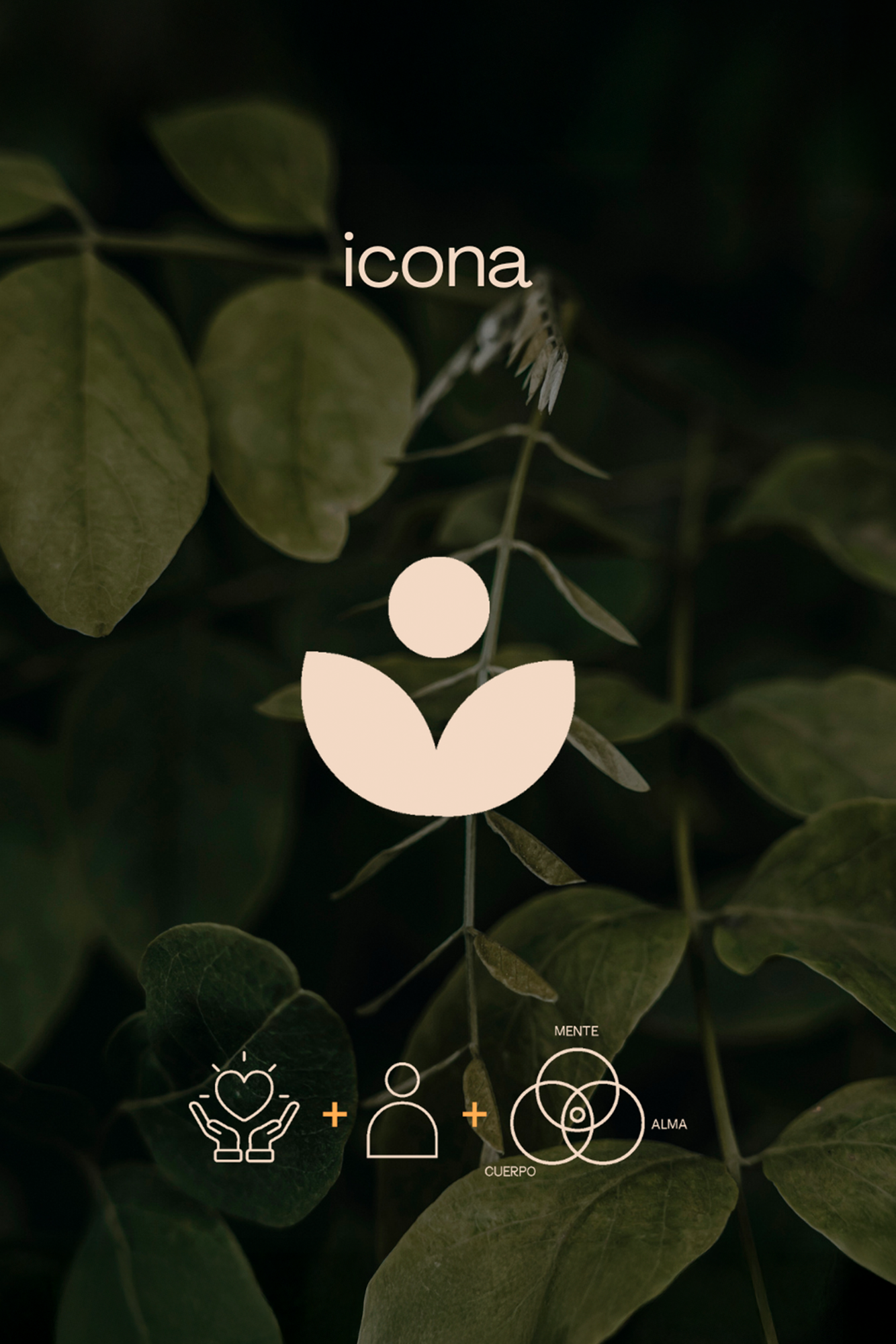 LOOCAL_PAGINAWEB_PROJECTE_RITAPRUDENTE_02
